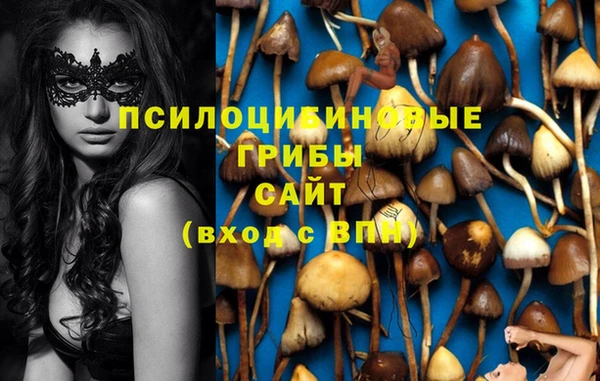 стафф Осинники