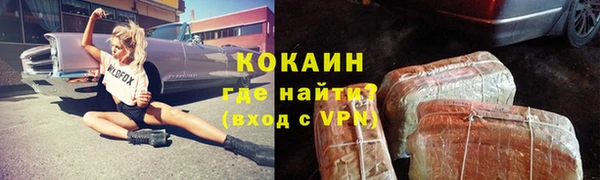 стафф Осинники