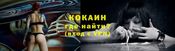 стафф Осинники