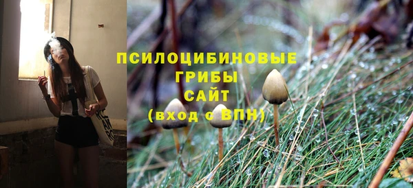 прущий лед Осташков