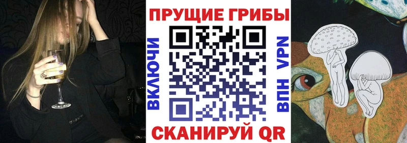 Галлюциногенные грибы Psilocybine cubensis Новосиль
